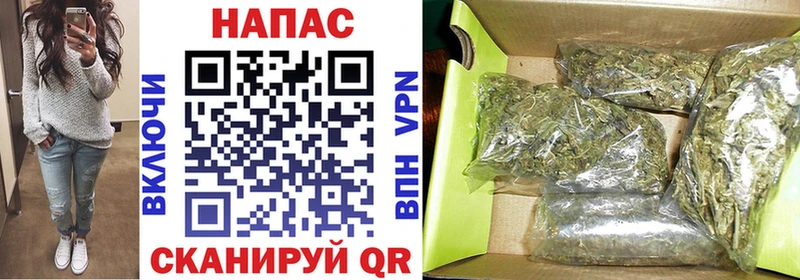 сколько стоит  Нарьян-Мар  блэк спрут ссылка  Конопля OG Kush 